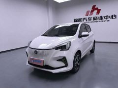 Changan Benben E-Star 2020 Heartbeat Edition ternary lithium - фото 1