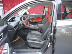 Li Auto Ideal L9 2022 Max - фото 15