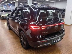 Mercedes-Benz EQB 350 4MATIC first special edition - фото 6