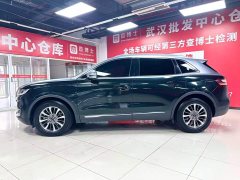 Lincoln Voyager (imported) 2020 2.0T two-wheel drive exclusive version - фото 4