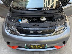 BYD Dolphin 2021 405km fashion version - фото 10