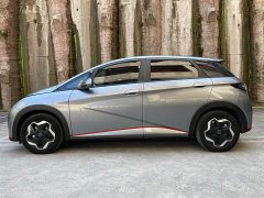BYD Dolphin 2021 405km fashion version - фото 4