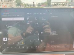 Li Auto Ideal L8 Air - фото 6