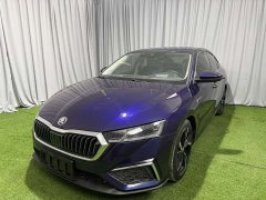Octavia PRO TSI280 Luxury Edition - фото 1