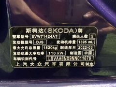 Octavia PRO TSI280 Luxury Edition - фото 19