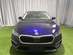 Octavia PRO TSI280 Luxury Edition - фото 2