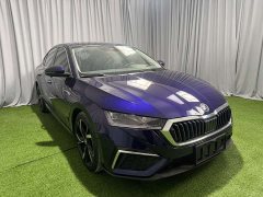 Octavia PRO TSI280 Luxury Edition - фото 3