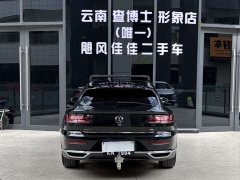 FAW-Volkswagen CC 2021 Hunting Vehicle 380TSI Hunting Heart Edition - фото 4
