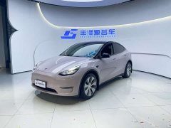 Tesla Model Y Standard Range Edition - фото 1
