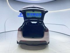Tesla Model Y Standard Range Edition - фото 6