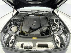 Mercedes-Benz E-Class Facelift E 300 L Luxury - фото 12