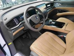 Denza D9 DM-i 970 four-wheel drive flagship - фото 8