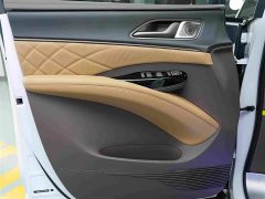 Denza D9 DM-i 970 four-wheel drive flagship - фото 9