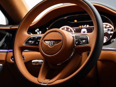 Geely Flying Spur 2022 4.0T V8 Standard Edition - фото 7