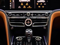 Geely Flying Spur 2022 4.0T V8 Standard Edition - фото 9