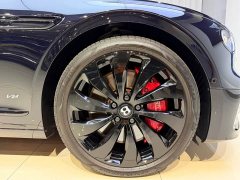 Geely Flying Spur 4.0T V8 Standard Edition - фото 13