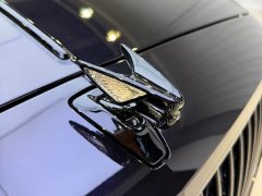 Geely Flying Spur 4.0T V8 Standard Edition - фото 14