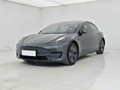 Tesla Model 3 2021 standard range rear drive upgraded version 3D6 - фото 1