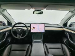 Tesla Model 3 2021 standard range rear drive upgraded version 3D6 - фото 17