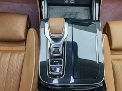 Hongqi H9 2024 2.0T Qixiang Private Fashion Edition - фото 13