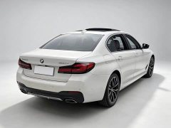 BMW 5 Series Facelift II 530Li Luxury M Sport Package - фото 3