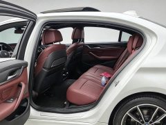 BMW 5 Series Facelift II 530Li Luxury M Sport Package - фото 4