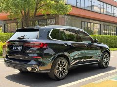 BMW X5 xDrive30Li M Sport Package - фото 5