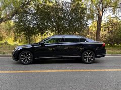 Volkswagen Magotan 2020 330TSI DSG Leading Edition - фото 2