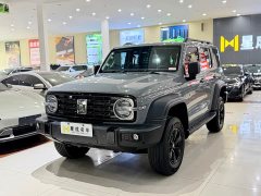 Tank 300 Off-Road Version 2.0T Conqueror - фото 1