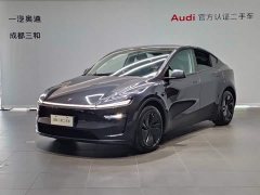 Tesla Model Y rear-wheel drive version - фото 1