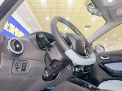 Chery Little Ant 2022 Sweet Pink Version Full Sugar Version Lithium Iron Phosphate 30kW 301km - фото 10