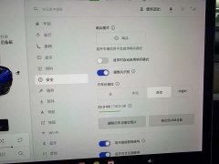 Tesla Model 3 Performance high-performance all-wheel drive version - фото 16
