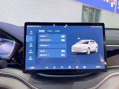 BYD Song PLUS New Energy 2021 DM-i 110KM Flagship PLUS - фото 17