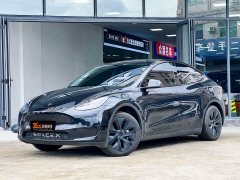 Tesla Model Y 2023 rear-wheel drive version - фото 1