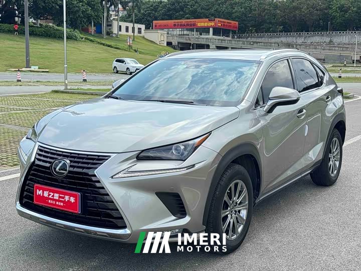 Lexus NX 2020 200 AWD Feng Shang Edition National V - автомобиль из Китая