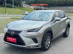 Lexus NX 2020 200 AWD Feng Shang Edition National V - фото 1