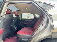 Lexus NX 2020 200 AWD Feng Shang Edition National V - фото 10