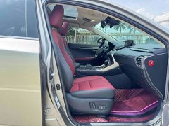 Lexus NX 2020 200 AWD Feng Shang Edition National V - фото 12