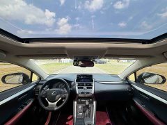 Lexus NX 2020 200 AWD Feng Shang Edition National V - фото 16