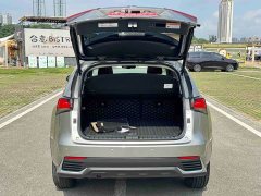 Lexus NX 2020 200 AWD Feng Shang Edition National V - фото 18