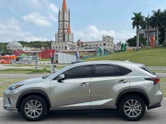 Lexus NX 2020 200 AWD Feng Shang Edition National V - фото 3