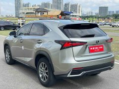 Lexus NX 2020 200 AWD Feng Shang Edition National V - фото 4