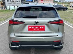 Lexus NX 2020 200 AWD Feng Shang Edition National V - фото 5