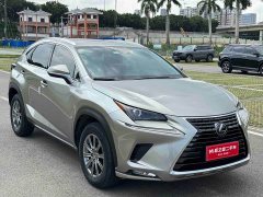 Lexus NX 2020 200 AWD Feng Shang Edition National V - фото 8