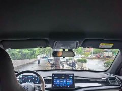 BYD Qin PLUS Honor Edition DM-i 55KM Leading Type - фото 13