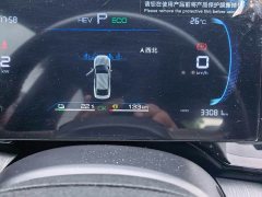BYD Qin PLUS Honor Edition DM-i 55KM Leading Type - фото 3