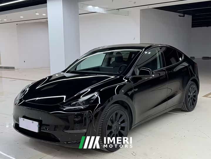 Tesla Model Y standard range rear-wheel drive version - автомобиль из Китая
