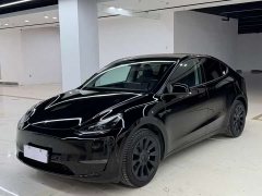 Tesla Model Y standard range rear-wheel drive version - фото 1