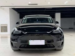 Tesla Model Y standard range rear-wheel drive version - фото 2