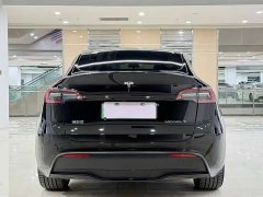 Tesla Model Y standard range rear-wheel drive version - фото 3